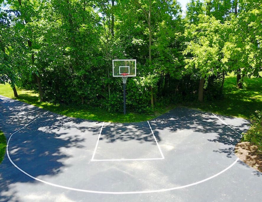 Half basketball court with Gorilla hoop