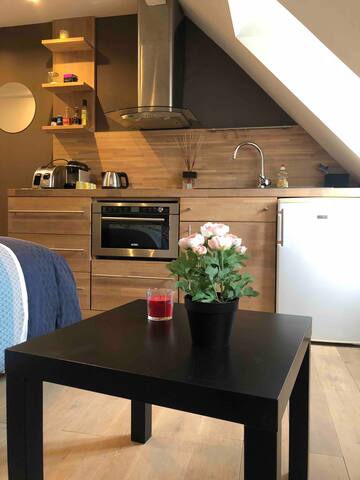 Strasbourg Studio quartier Contades/Orangerie