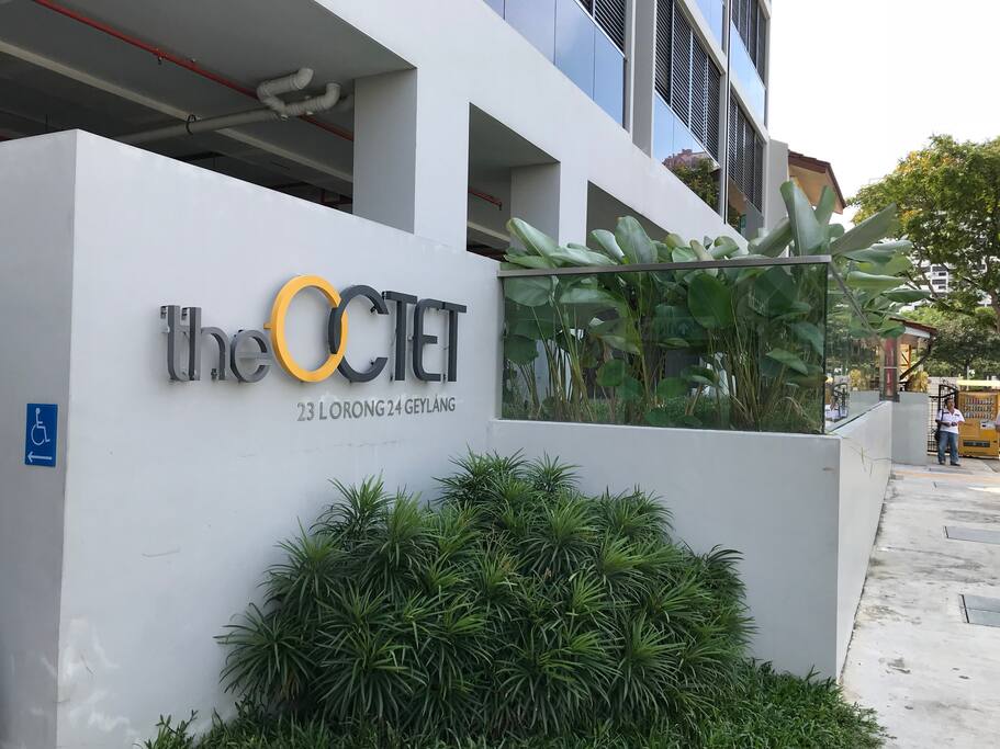 The Octet