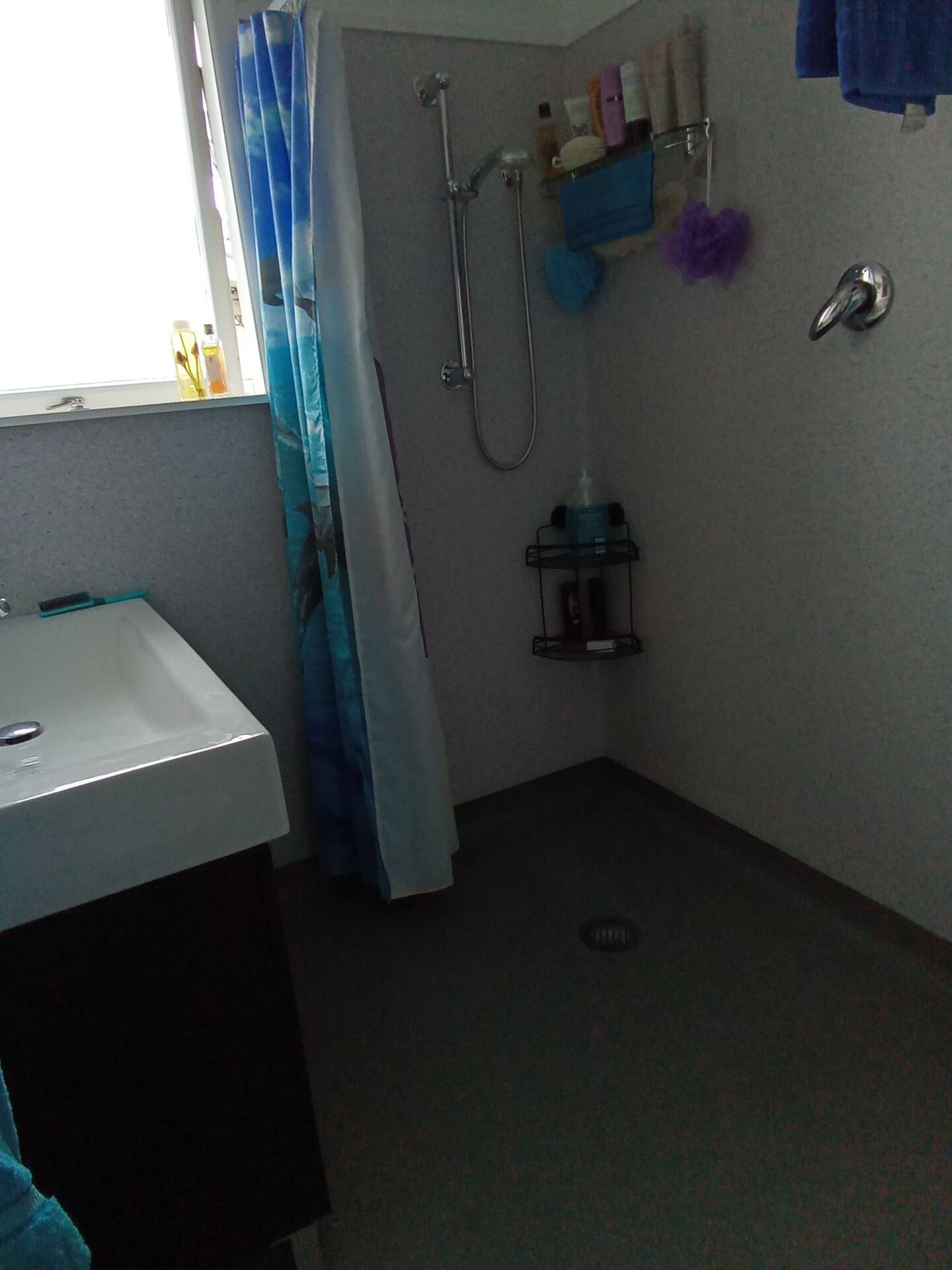 Jean's Place 4