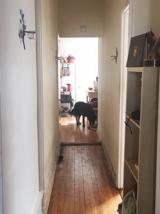 Hallway (from our bedroom down)