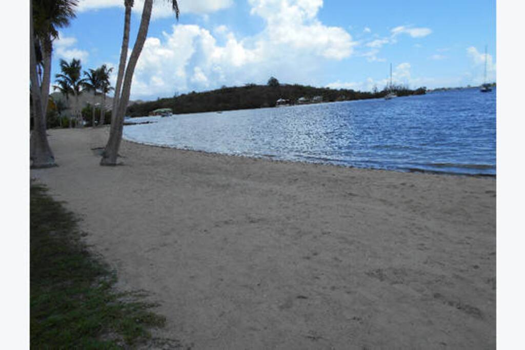 The beach