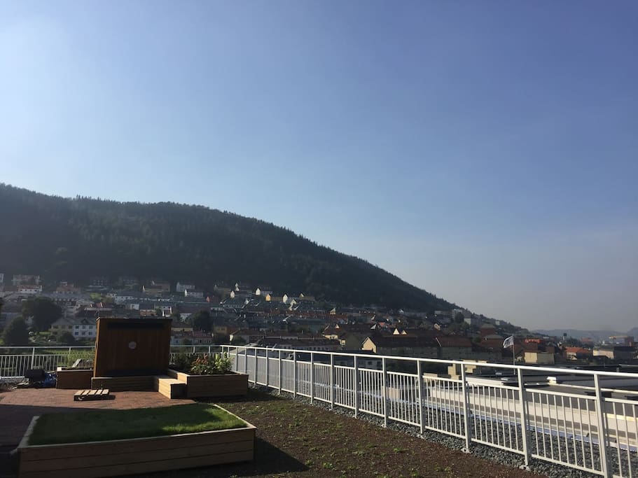 View from one of the two rooftop terraces