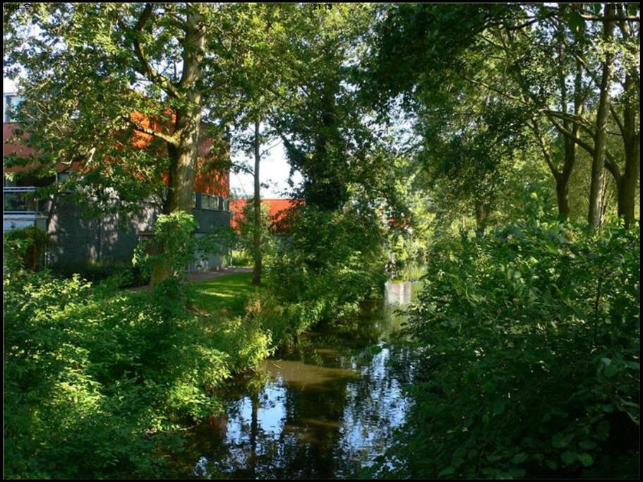 Green environment