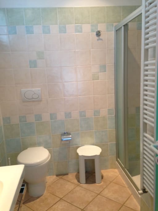 Private bathroom with shower