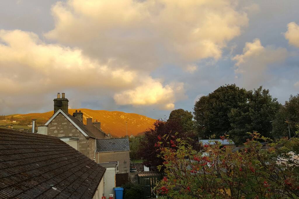 Bedroom view