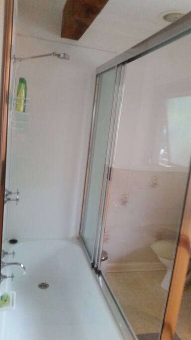 main bathroom downstairs shower over bath