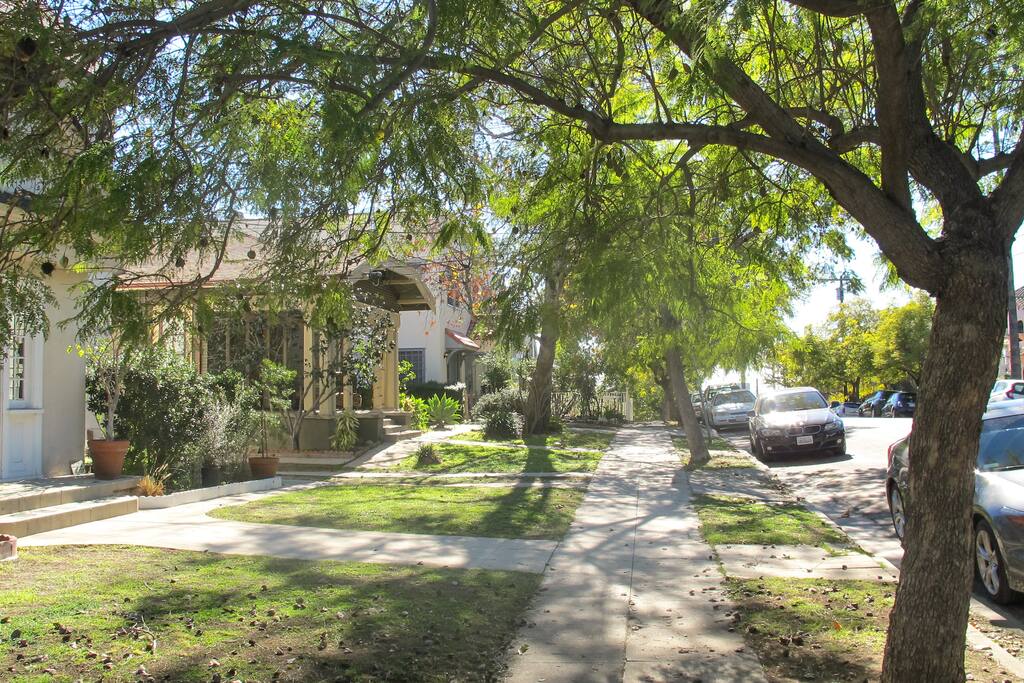 Street; as you can see it is really safe and quiet. Ample street parking normally too!