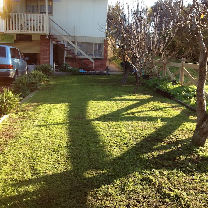 Our front garden full of full of fruit trees