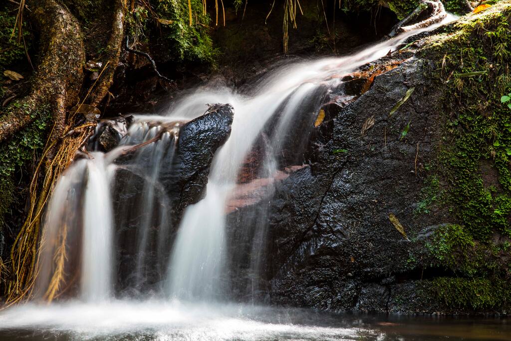 Cachoeira do poçinho
Localizada a 200m da casa Sede.
