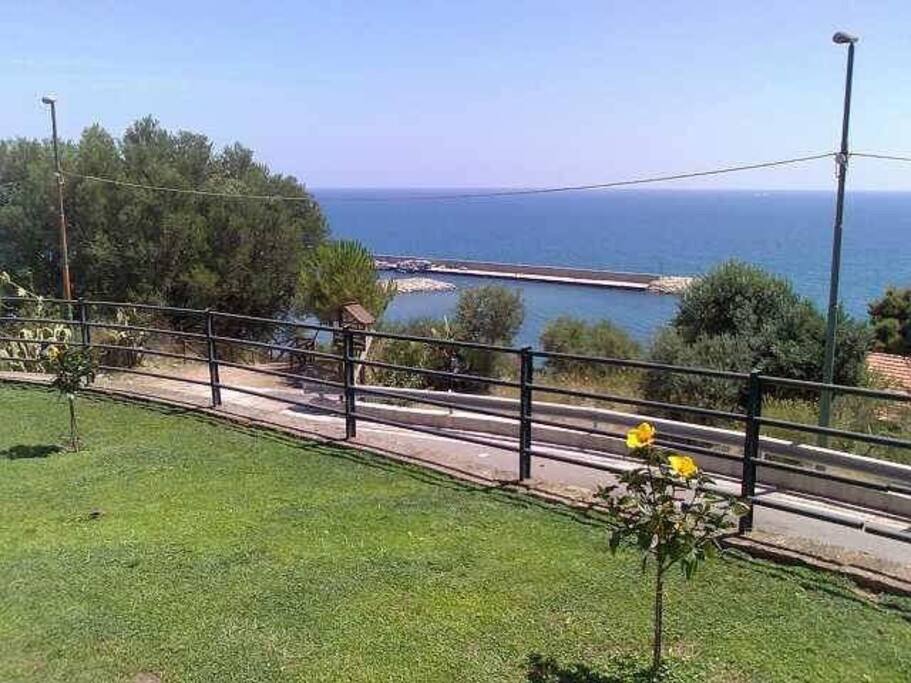 Giardino
