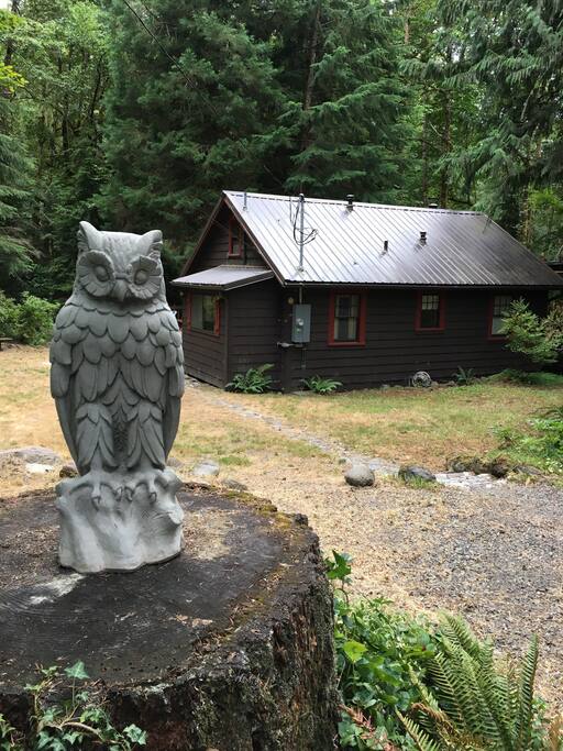 Hedwig