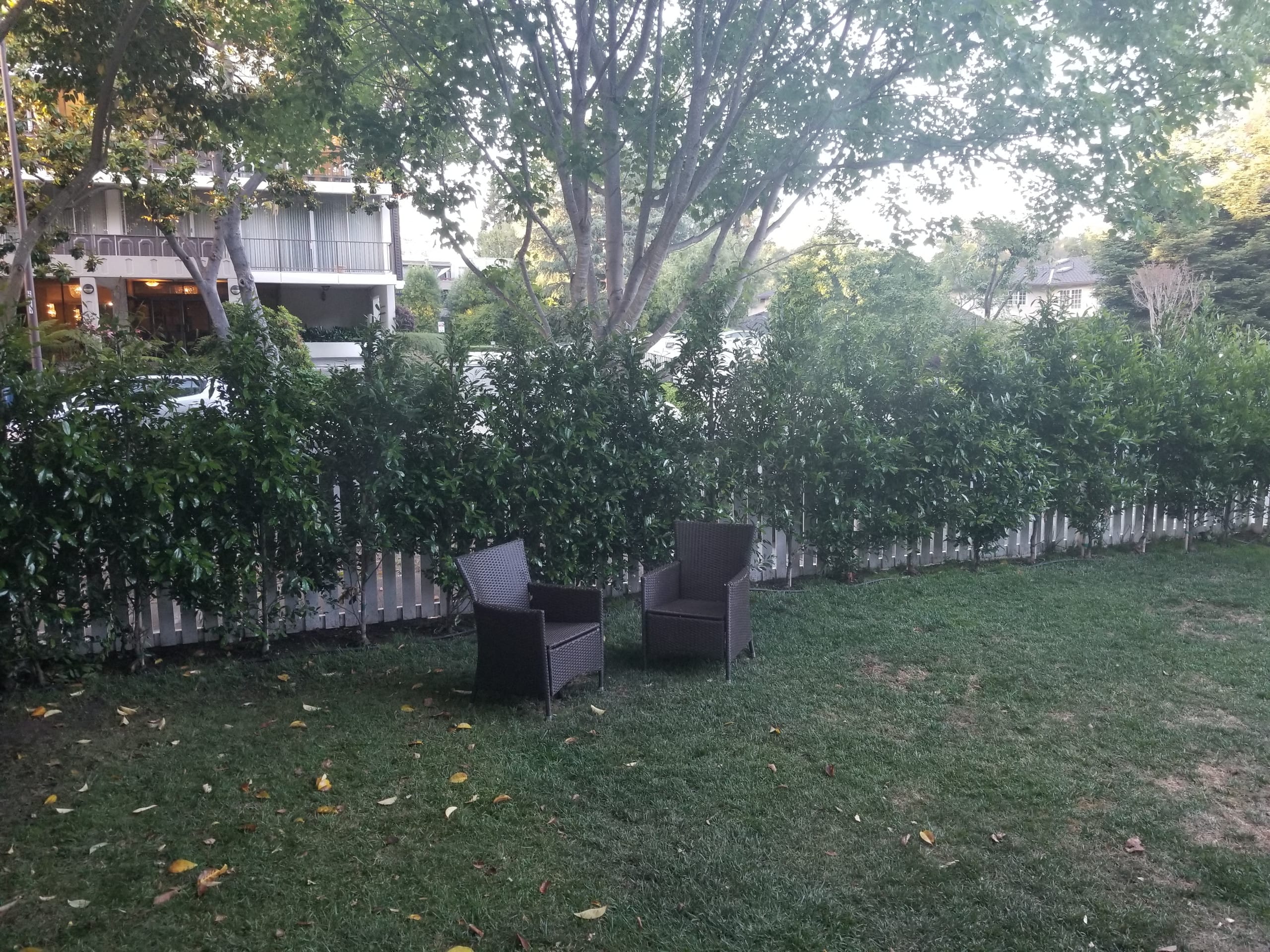 Remodeled Home Near Stanford, Private Yard - Photo 3