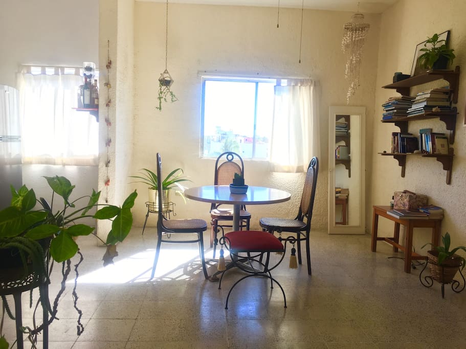 Your appartment at La Paz!