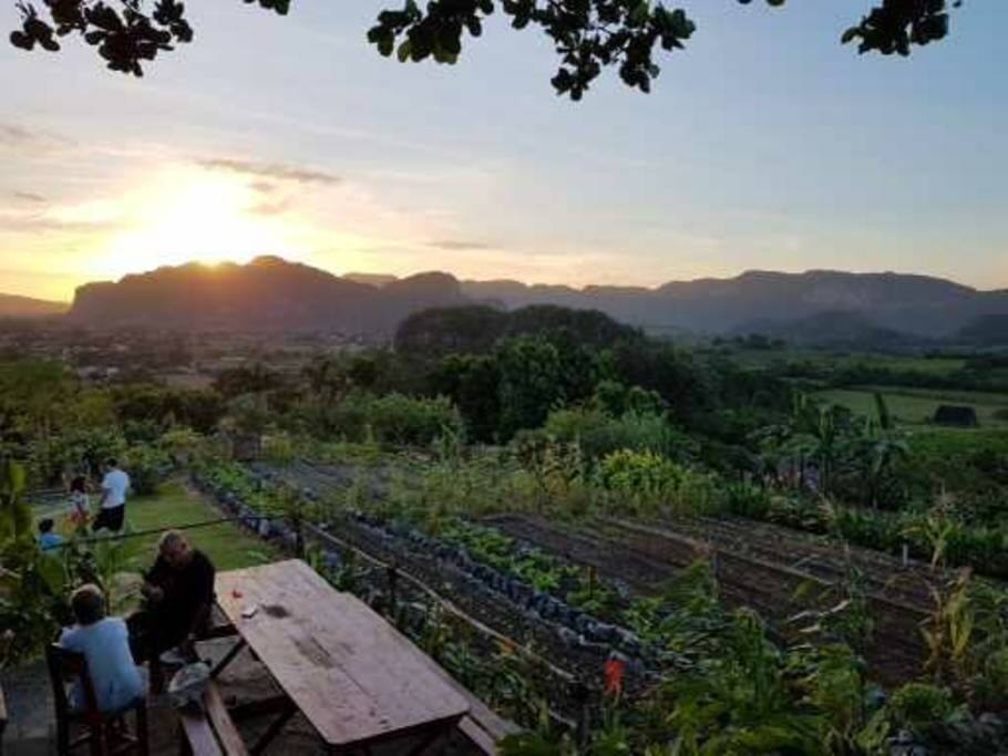 atardecer en la finca organica