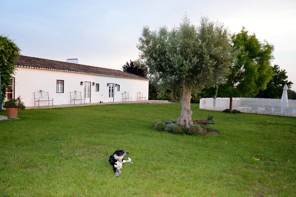 Jardins vila