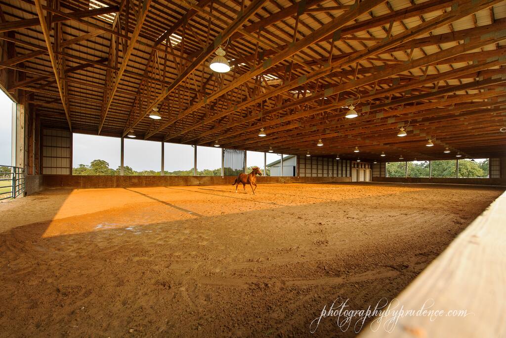 Morton covered arena- riding lessons available