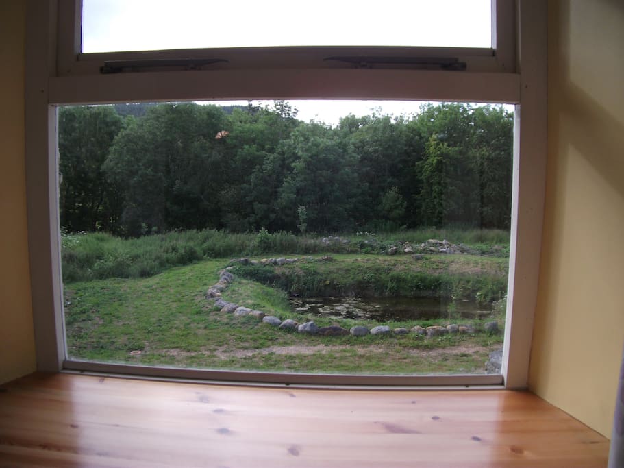 view from window