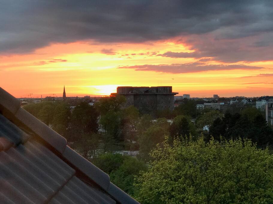 Window View