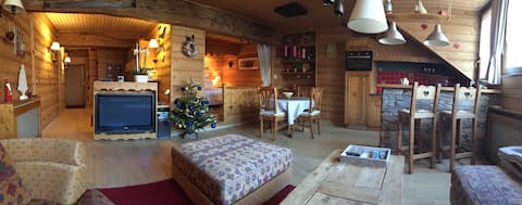 60 sq.. m Savoyard Loft in the heart of Annecy
