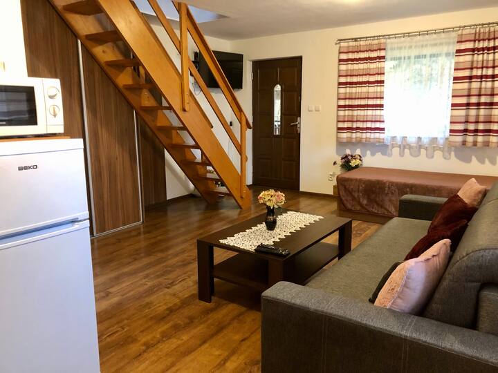 Apartmány (4+2miestny) Domaša Valkov - Tíšava - Stropkov