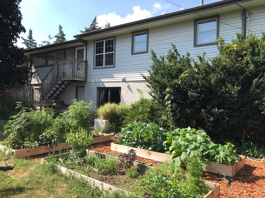 The backyard was a main factor in the purchase of this home. Between the deck, fire pit, grill and cozy nooks you're sure to enjoy your stay here.