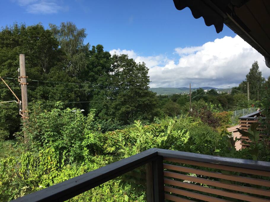 View from terrace