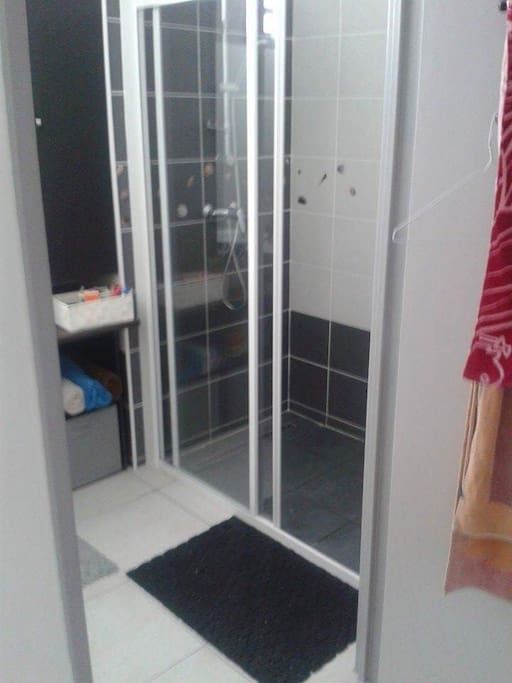 grande salle de douche avec douche a l'italienne