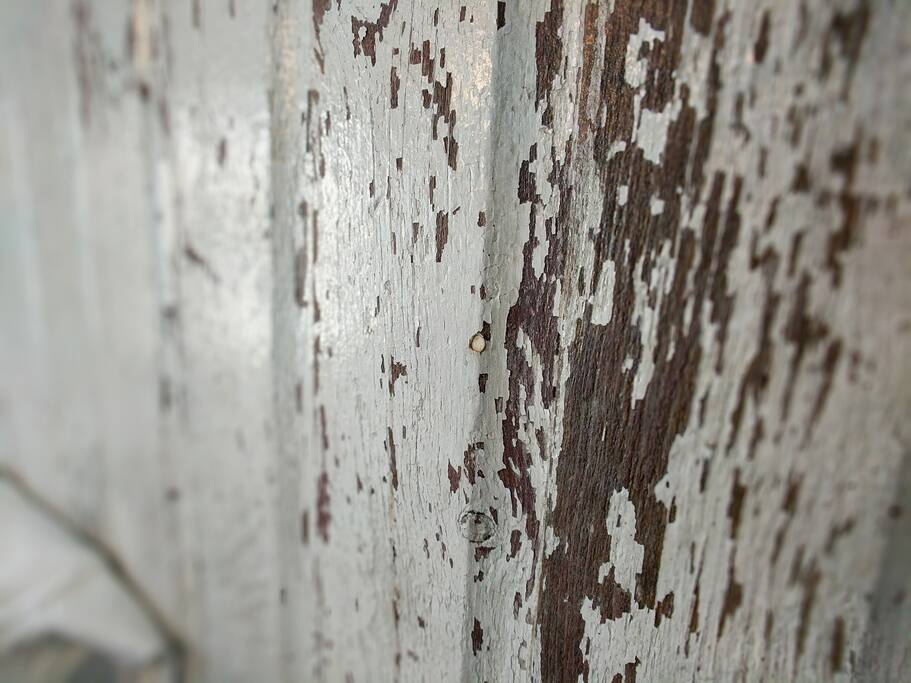 Amazing turn of the century barn door headboard.