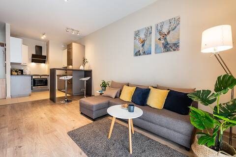 Successful Airbnb property: Apartments Tespis No.23 (Francuska 98A/20) in Osiedle Paderewskiego Muchowiec