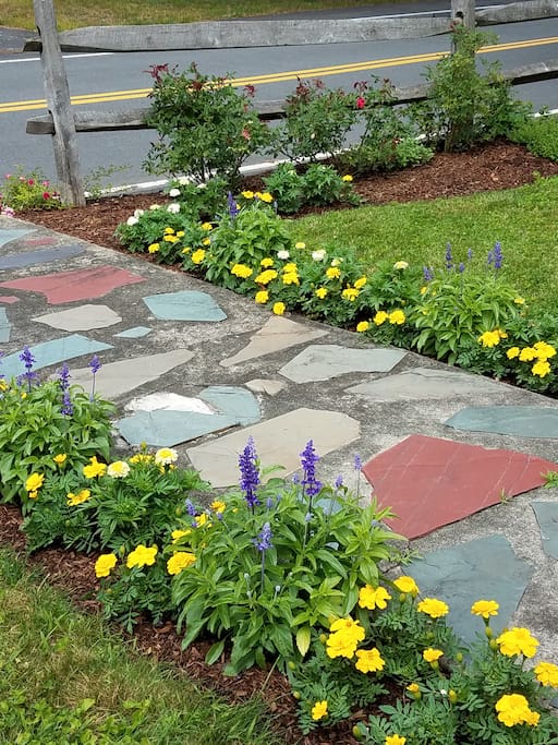 Front yard