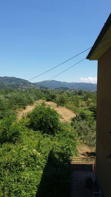 Vista dalla casa
