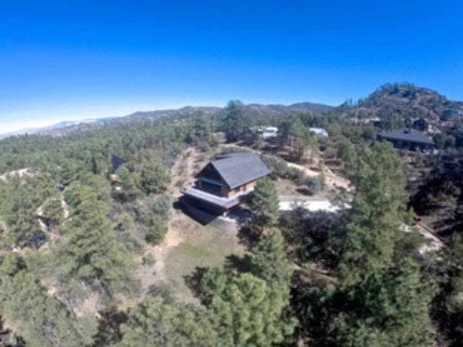 Elevated deck in the trees