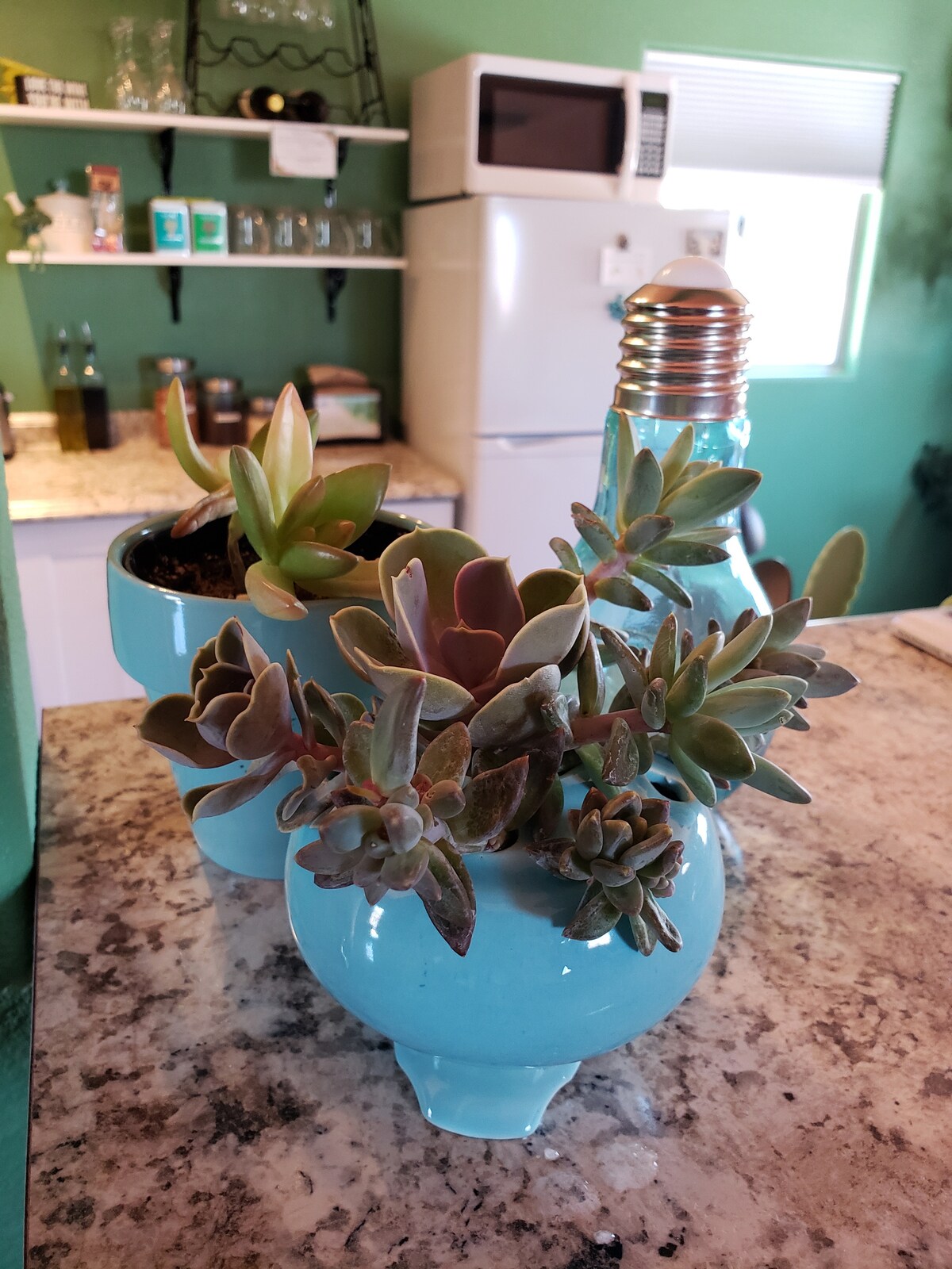A turquoise vase holding an arrangement of succulents is positioned on a speckled countertop. Behind it, a second planter complements the first, featuring a variety of succulents. The background showcases a well-equipped kitchen with a white refrigerator and a window allowing natural light.