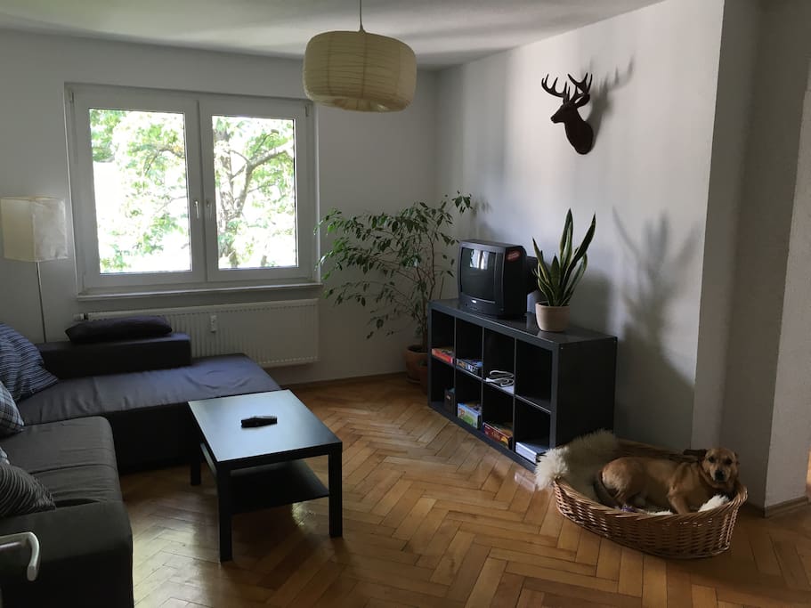 Ein anderer Blick in unser Wohnzimmer inklusive unserem WG-Hund Milo. Wie gesagt: Gäste die keine Haustiere mögen, brauchen Milo nicht kennenlernen, dann wohnt er woanders.