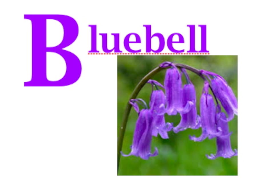 Bluebell Room at the Green Gate Guesthouse