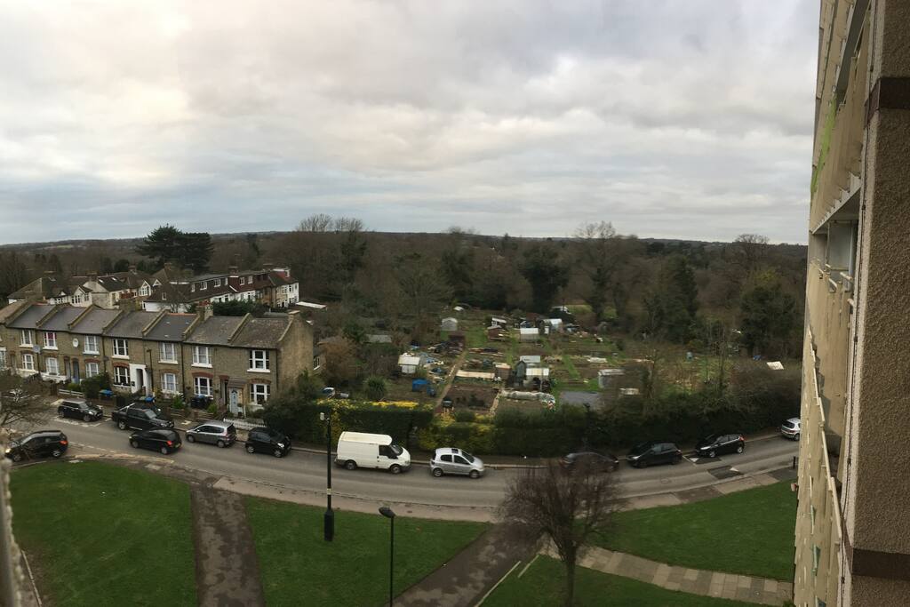 View from guest bedroom window