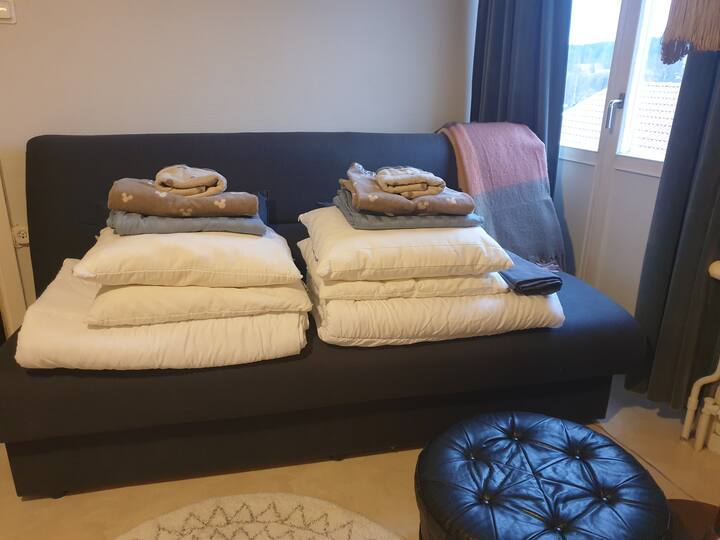 Top 10 Airbnb Vacation Rentals In Umeå, Sweden Updated 2024 Trip101