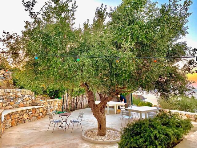 Villa sul mare – Leros – Dodecaneso gallery image 5