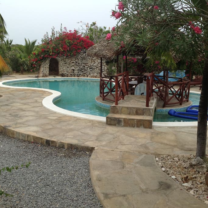 large pool with island dining, outside barbeque and drinking area plus shower and toilet