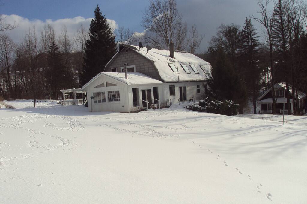 Winter