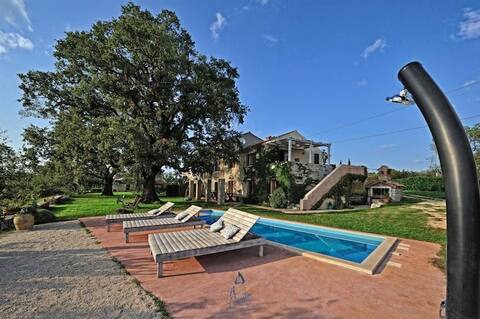 Villa Dream Umag