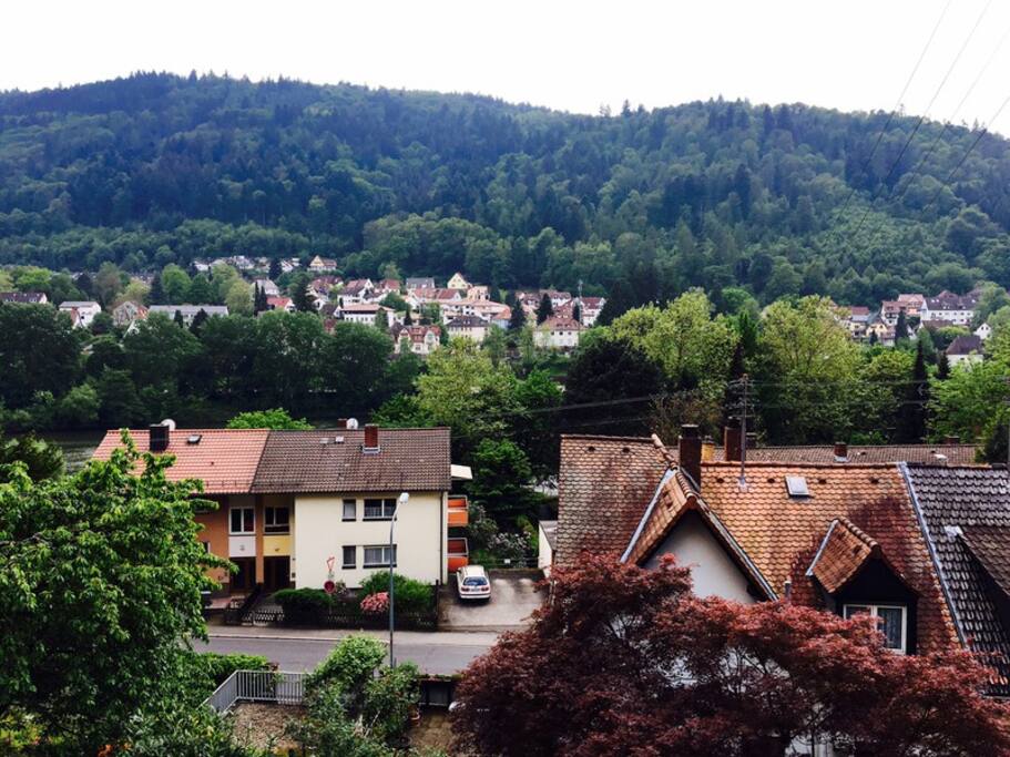Ausblick auf Neckar und gegenüberliegende Seite Schlierbach
