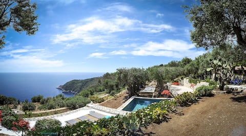 PaxosZoe Natural living & simple luxury for 4+1