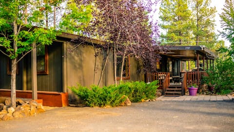 Top performing Airbnb: Fenced in for pets, pack n play, work monitors! in Munds Park