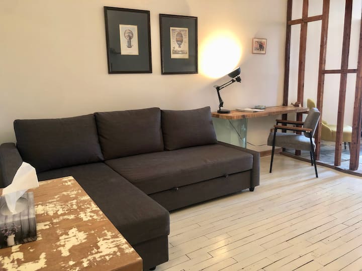 EcoDesign & Marché JeanTalon ) Appartements à louer à Montréal