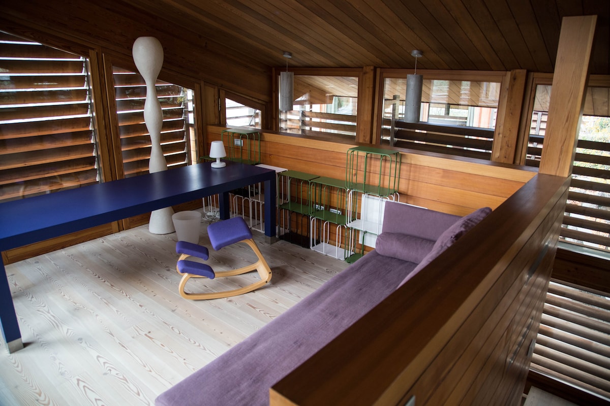 Estudio con techo de madera y sofá cama doble 