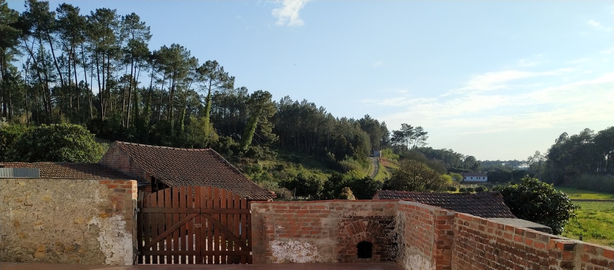 Airbnb em destaque: Tia Dulce's House em União Das Freguesias De Pataias E Martingança