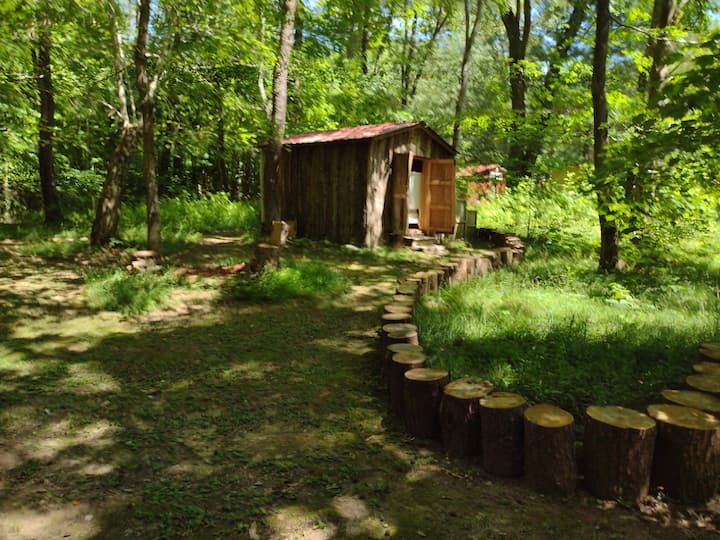 June 2022:
Tree Hut detached, view from back porch
