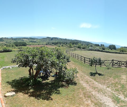 Top Airbnb: Apartment within a renovated farmhouse. en Monforte De Lemos